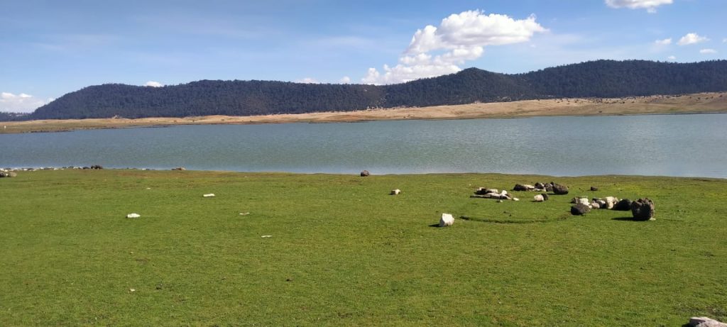 Bienvenu sur le site officiel de l’Observatoire des Zones Humides de la Réserve de Biosphère du Cèdre de l’Atlas.