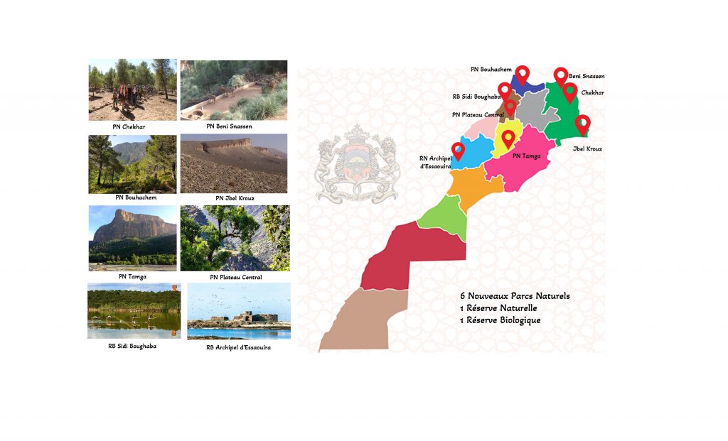 Bonne nouvelle écologique