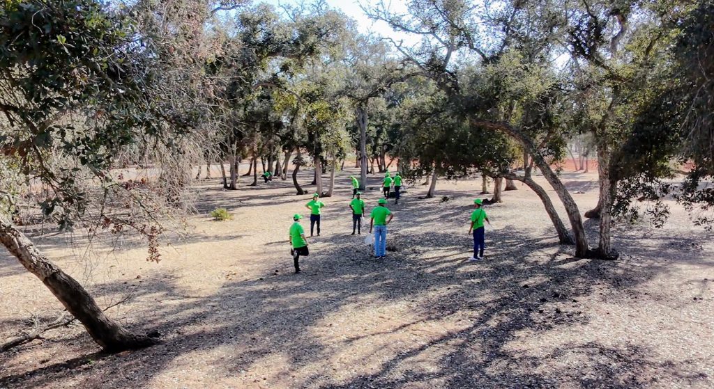 Forêt Maamora et World Clean up day Forêt Maamora et World Clean up day
