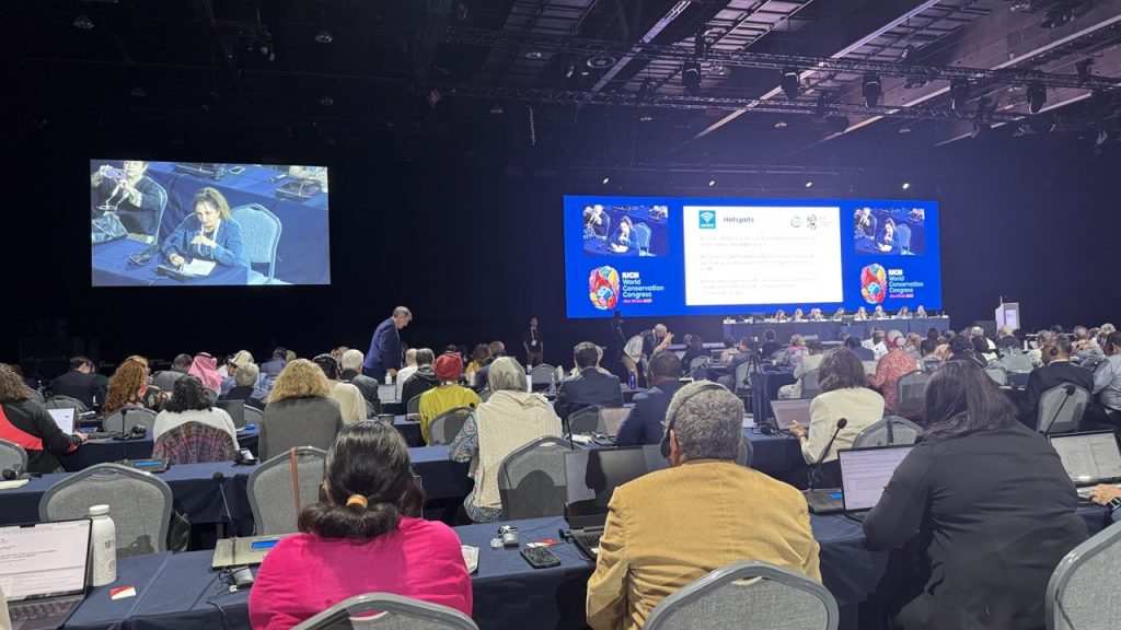 AMEPN au Congrès Mondial de la Nature de l’UICN 2025 à Abu Dhabi (Emirats Arab Unis) AMEPN au Congrès Mondial de la Nature de l’UICN 2025 à Abu Dhabi (Emirats Arab Unis)