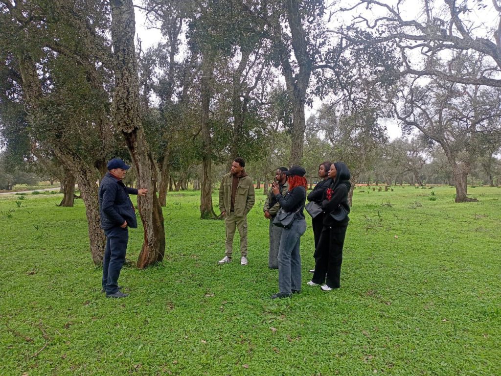 Accueil d&rsquo;un groupe d&rsquo;étudiants africains de l&rsquo;Université Internationale de Rabat