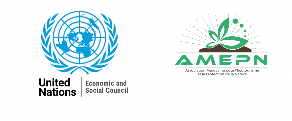 AMEPN reçoit le statut consultatif spécial du Conseil Economique et Social des Nations Unies (ECOSOC)